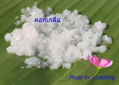 ดอกเกลือThai Fleur de sel 